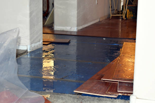 Professional Sewage Cleanup technician working in Palm Springs, FL